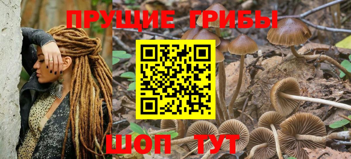 Псилоцибиновые грибы Magic Shrooms  Псилоцибиновые грибы MAGIC MUSHROOMS  Ливны  магазин    Вход с VPN 